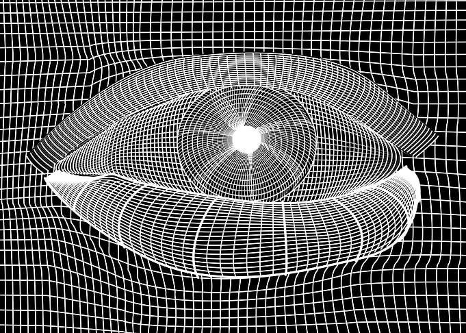 black and white mesh eye