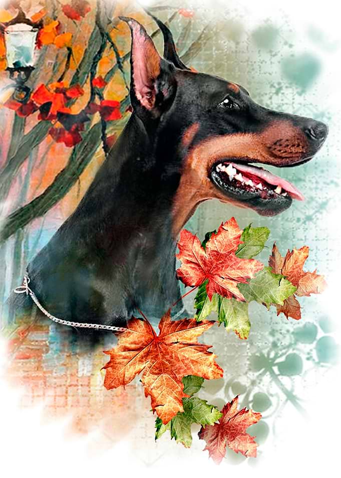 Autumn
