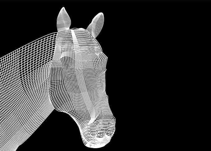 mesh horse black and white