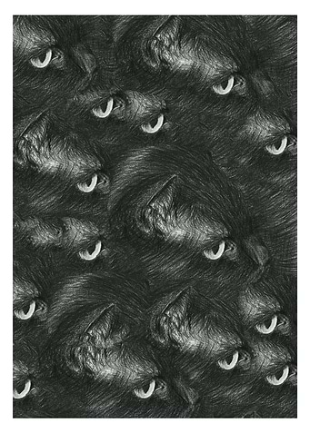 cat eyes