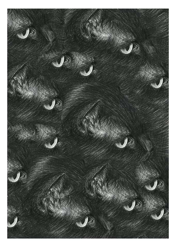 cat eyes