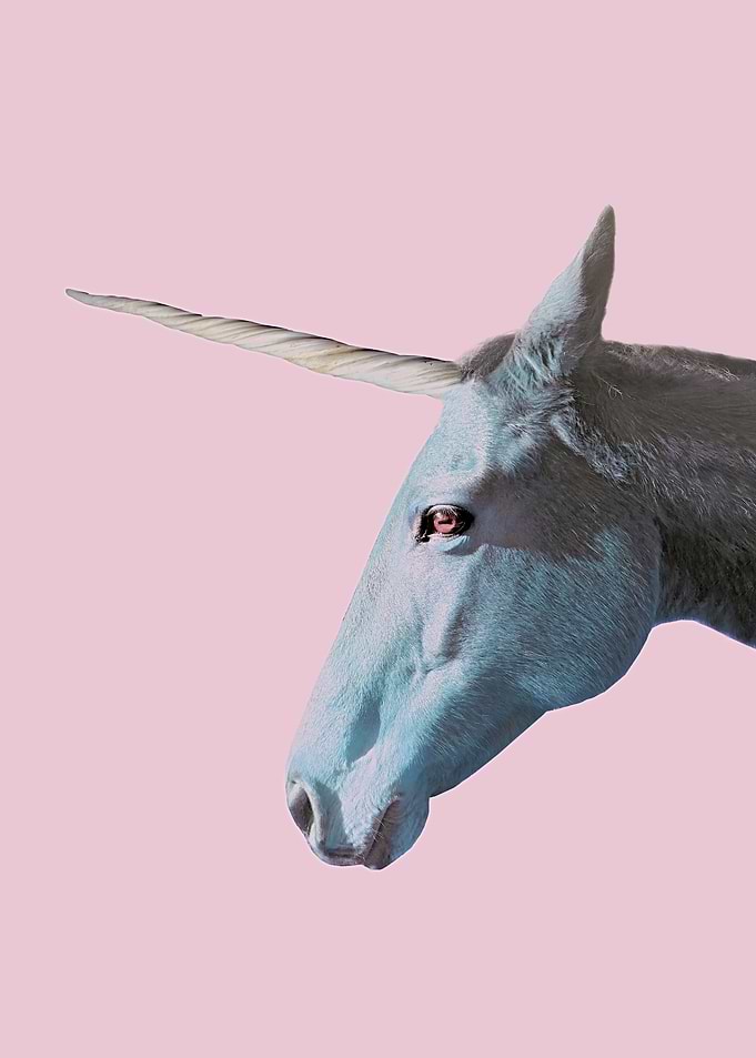 The Magic Unicorn