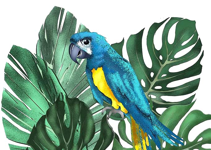 tropical pattern
