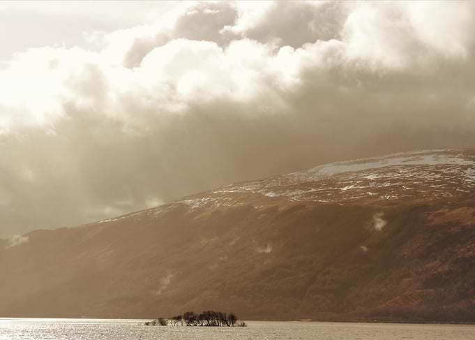 trees at Loch Lomond