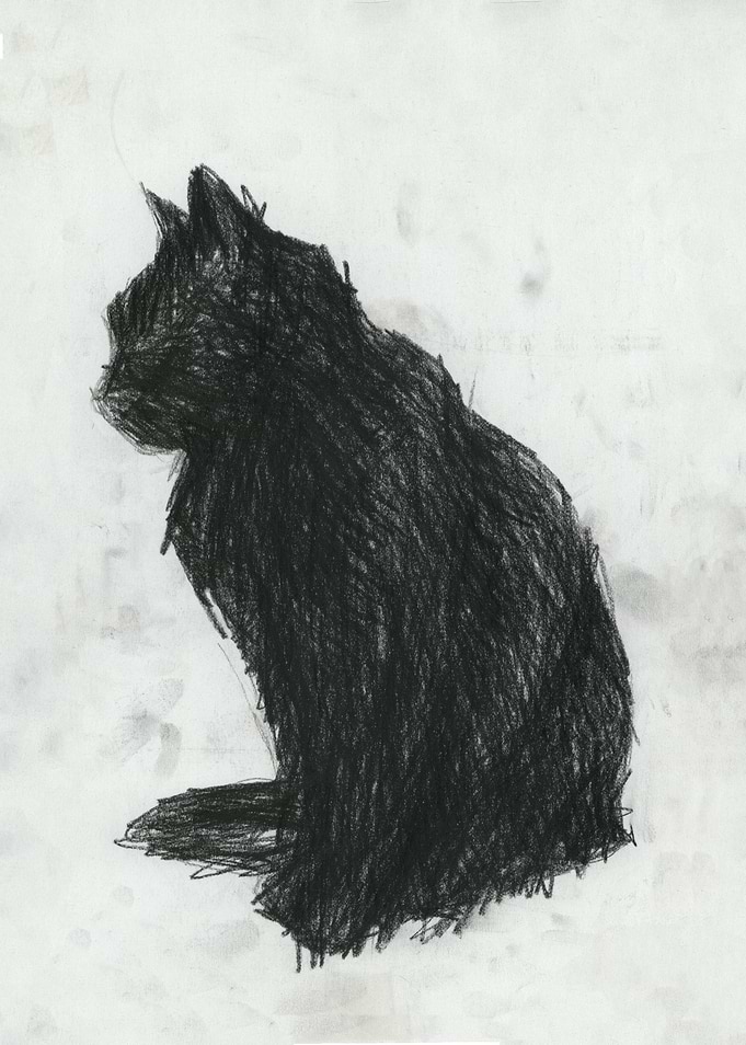 black wild