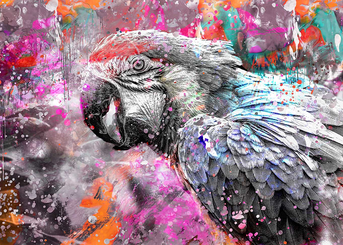 Crazy Parrot