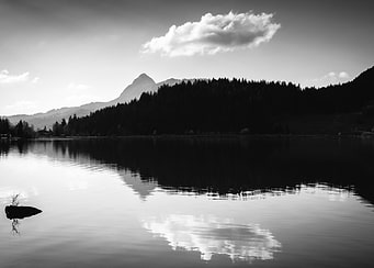 Tranquil waters