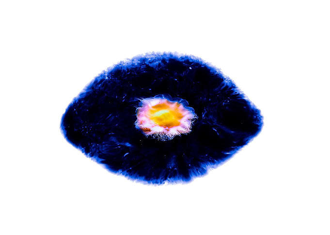 The Eye