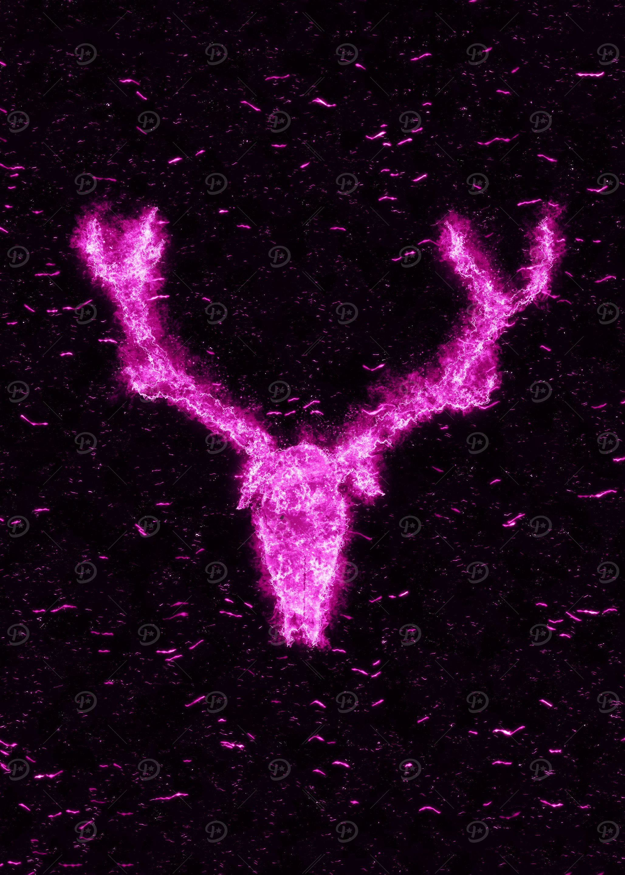 Deer Skull