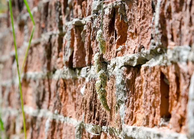 Old House Wall