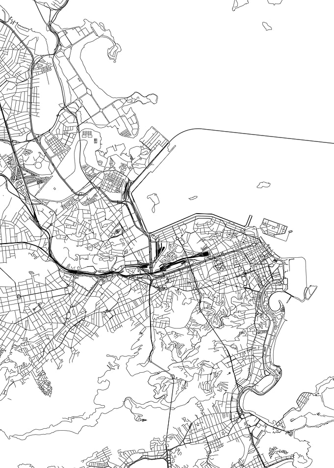 Rio De Janeiro White Map