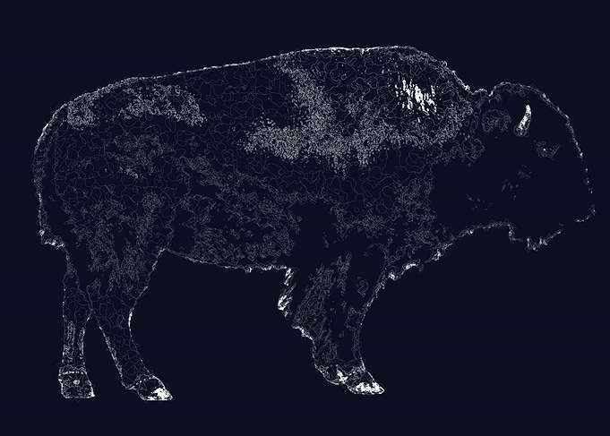Buffalo
