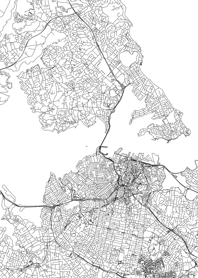 Auckland White Map