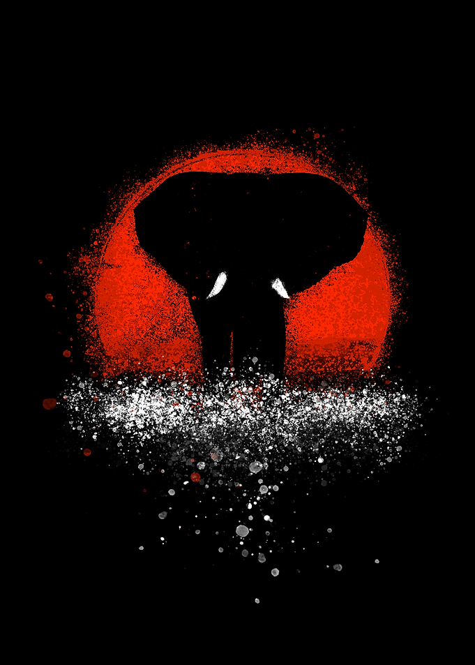 Animals Elephant Sunset