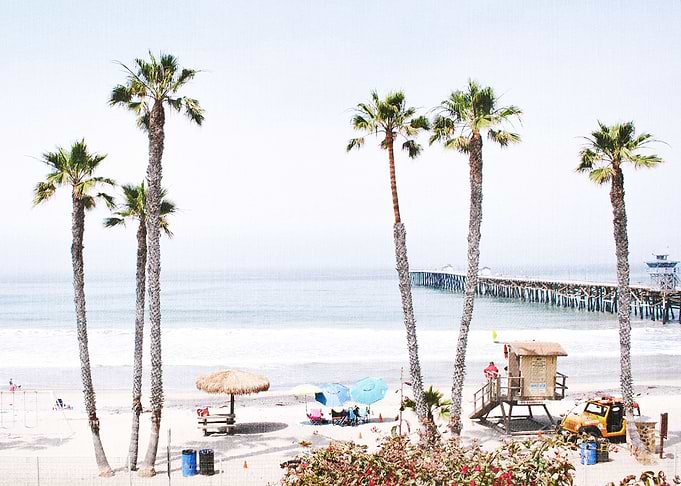 Palm Beach