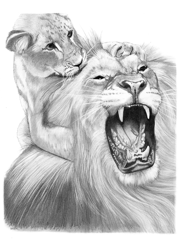 THE LION PUNK
