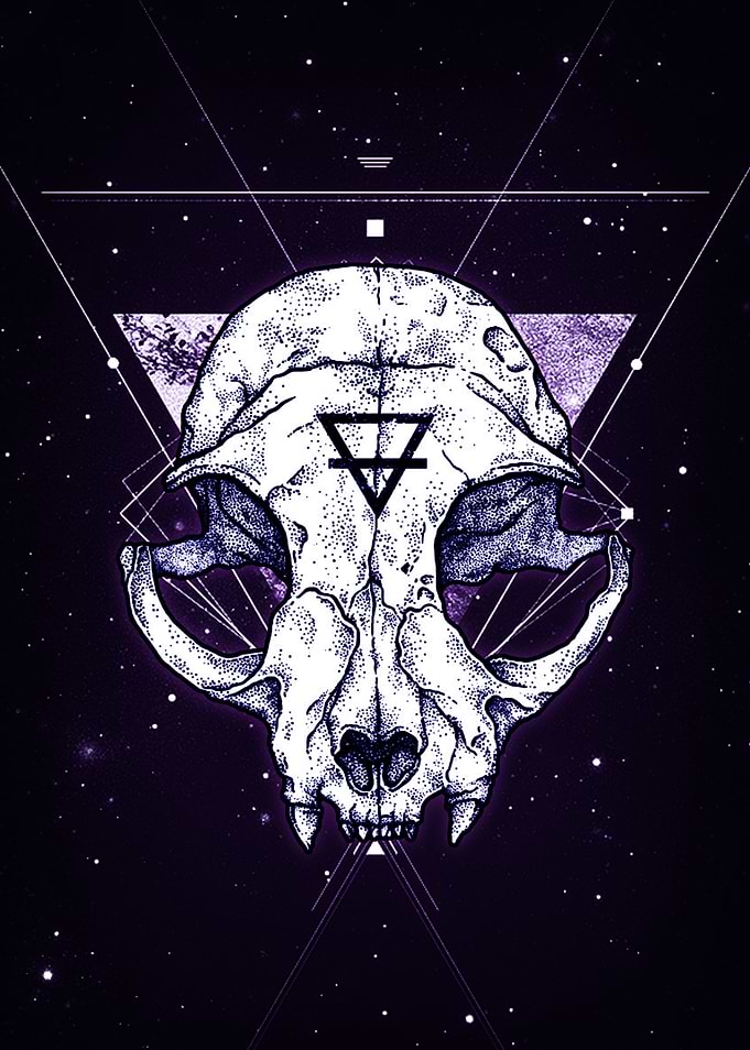 Skull Cat
