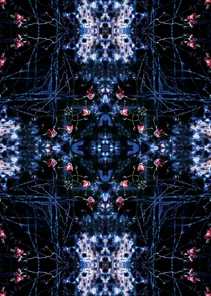 kaleidoscopic winter
