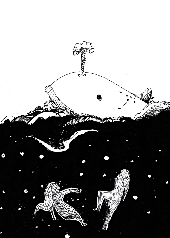 Happy Whales