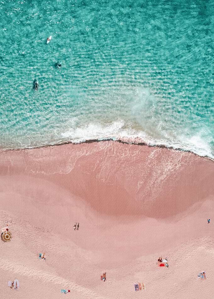 Pink Vacation