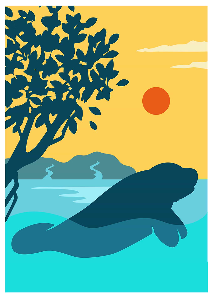 Sea Cow