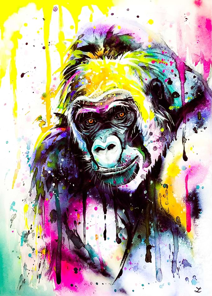 Gorilla