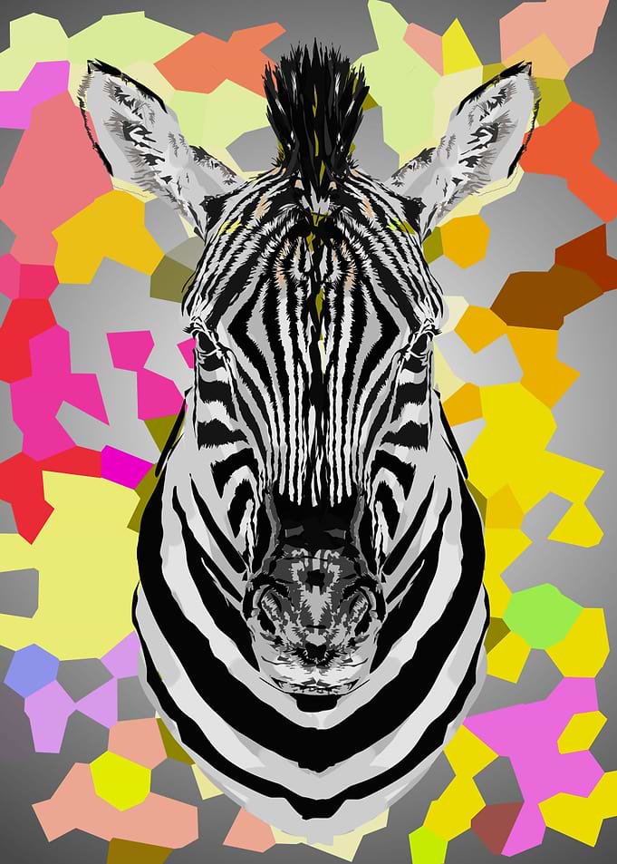 zebra