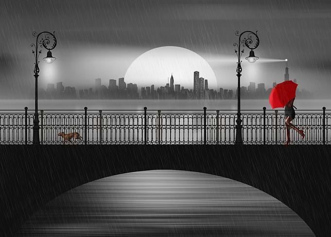 Bridge in the summer rain