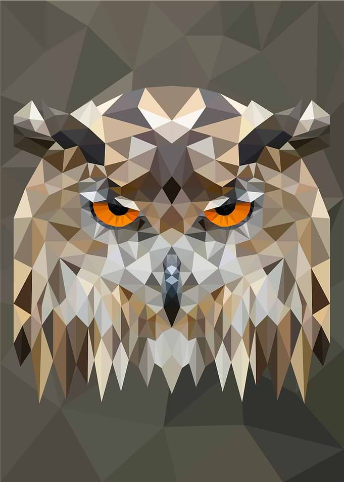 Fierce Owl