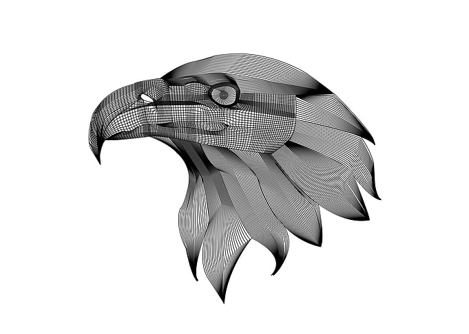the mesh eagle head