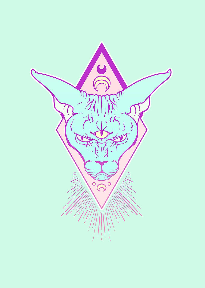 Magic Sphynx Cat Art