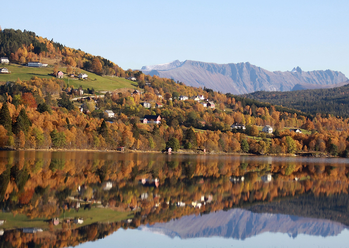 Autumn Reflection