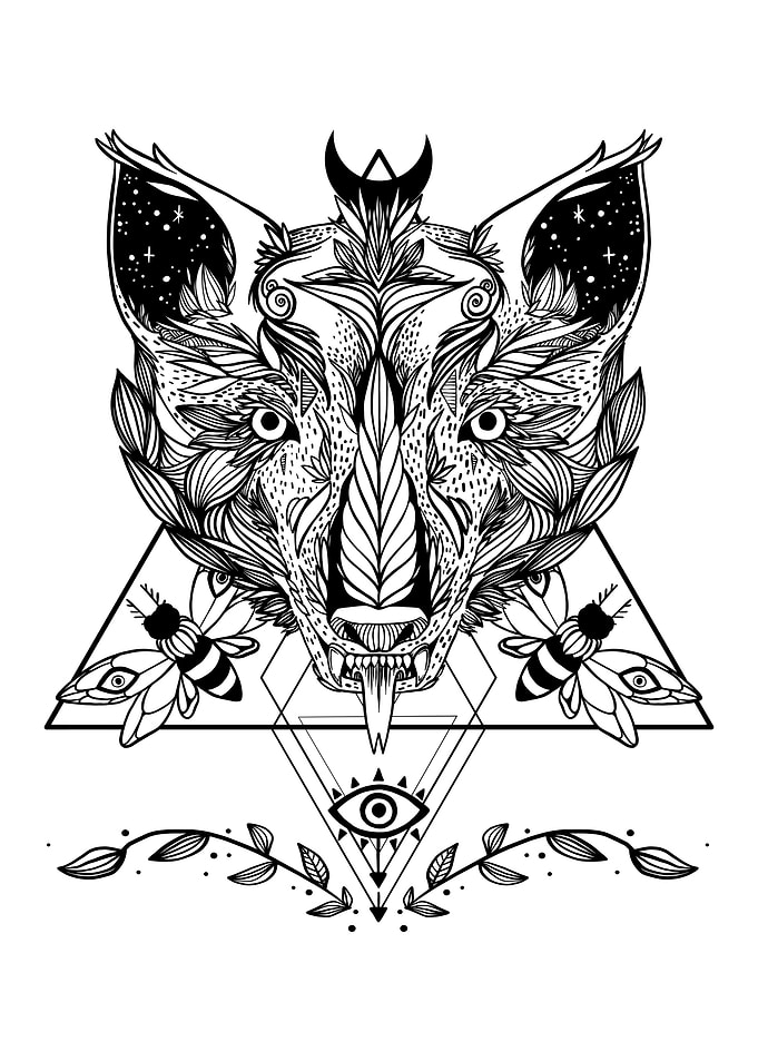 Wolf And Moths Drawing