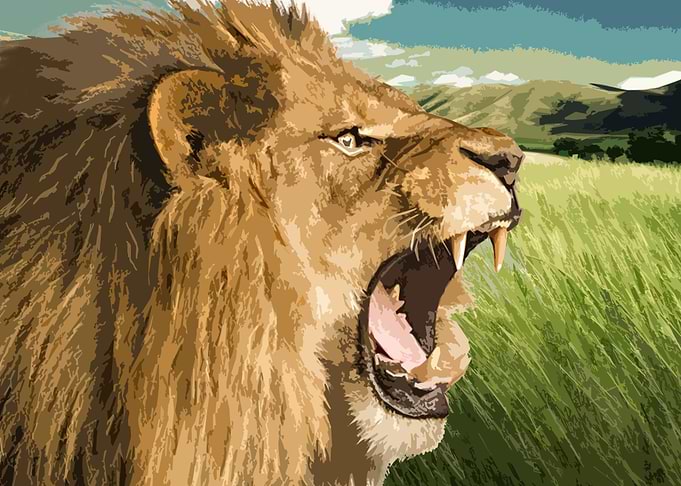 Feeling Lion