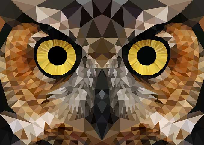 Silent Owl