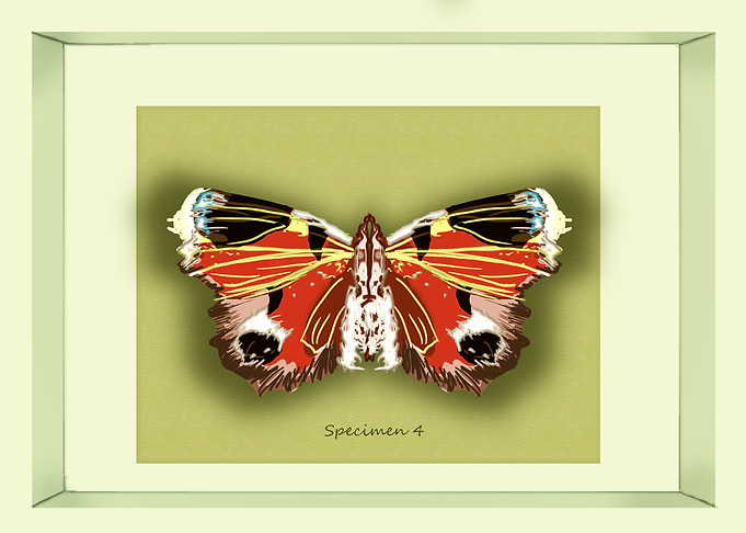 Specimen 4