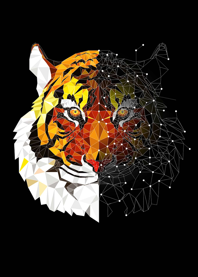 tiger star