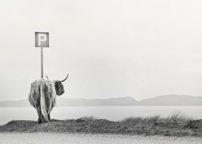 highland visitor