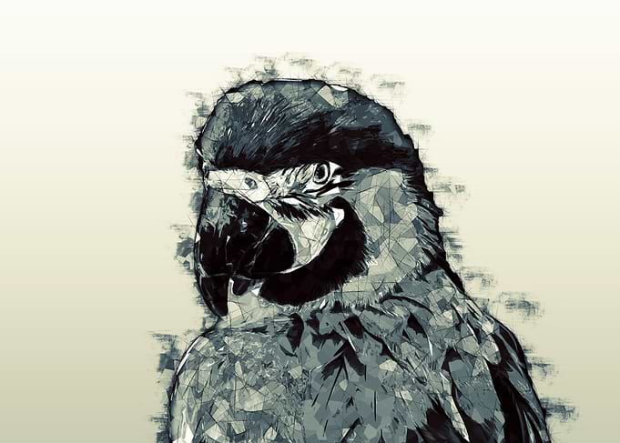 Parrot