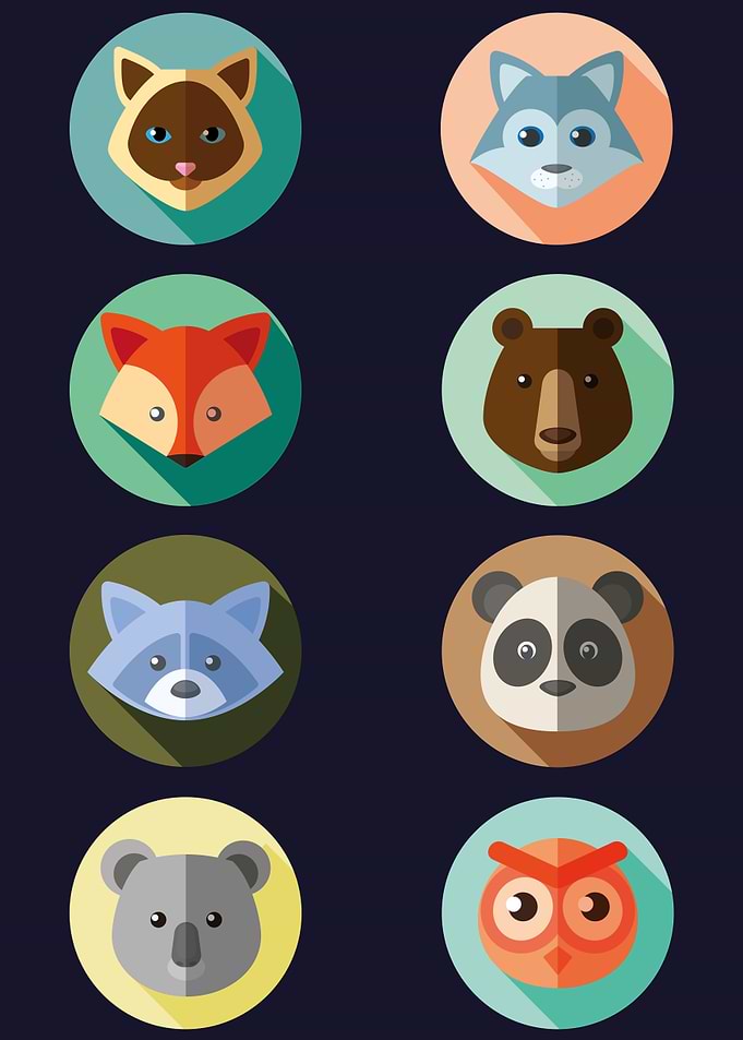 Cute Animals