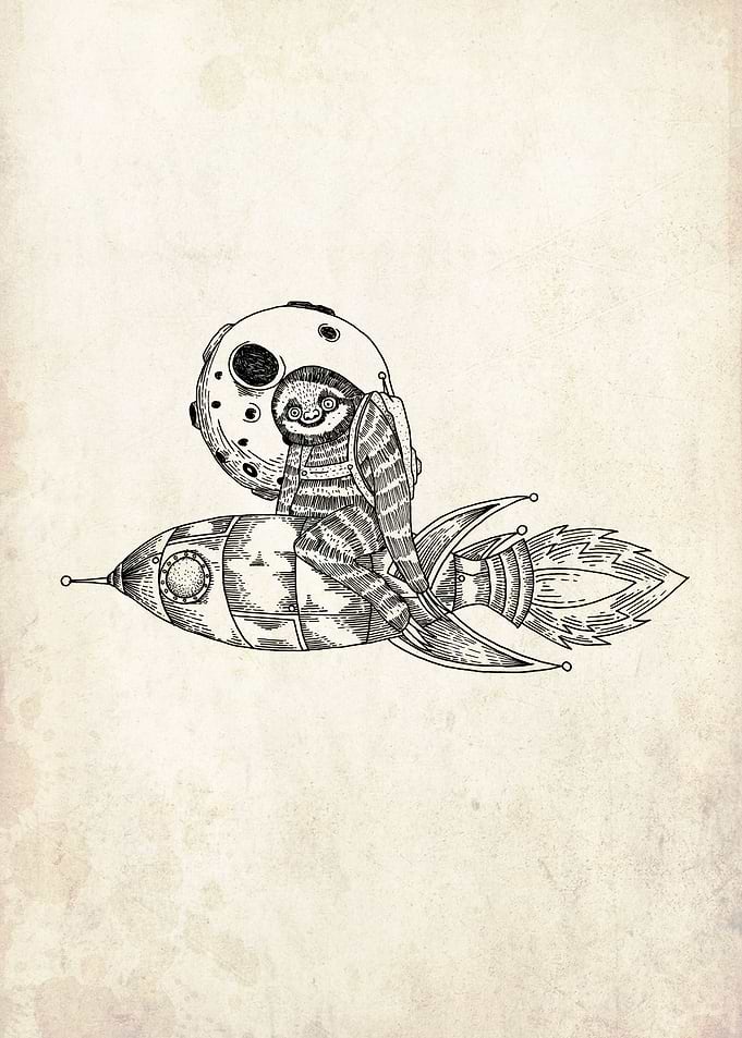 sloth on a rocket