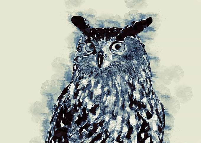 European Eagle Owl