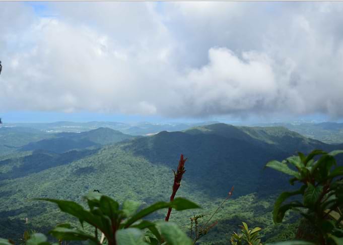Views from El Yunque Peak