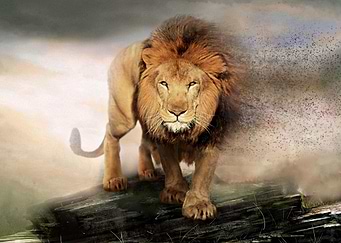 Wild and free