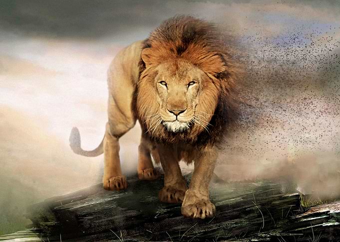 Wild and free