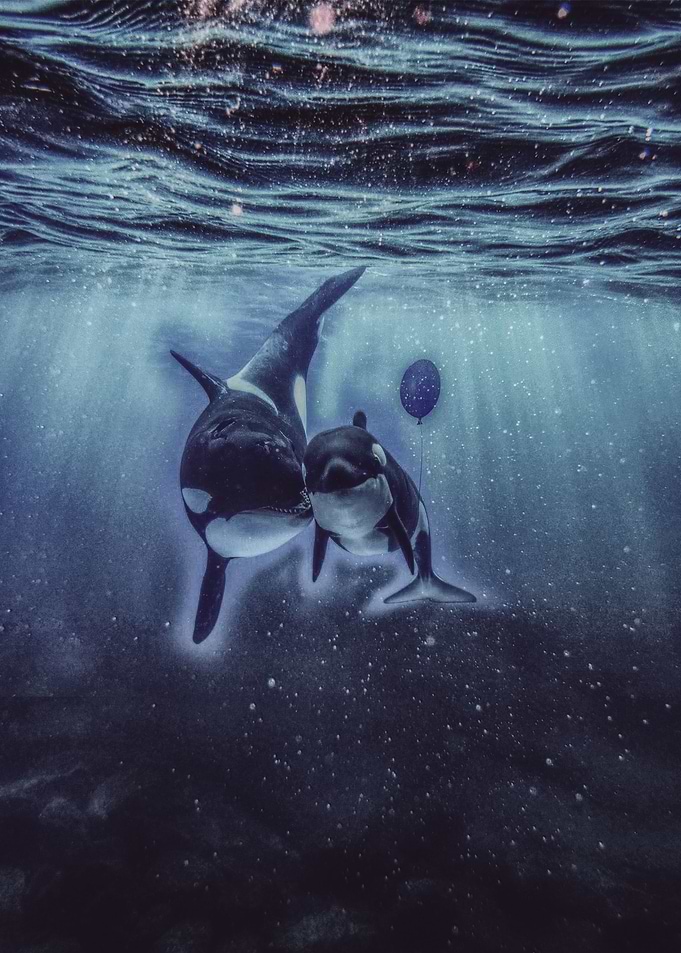 A whales day out