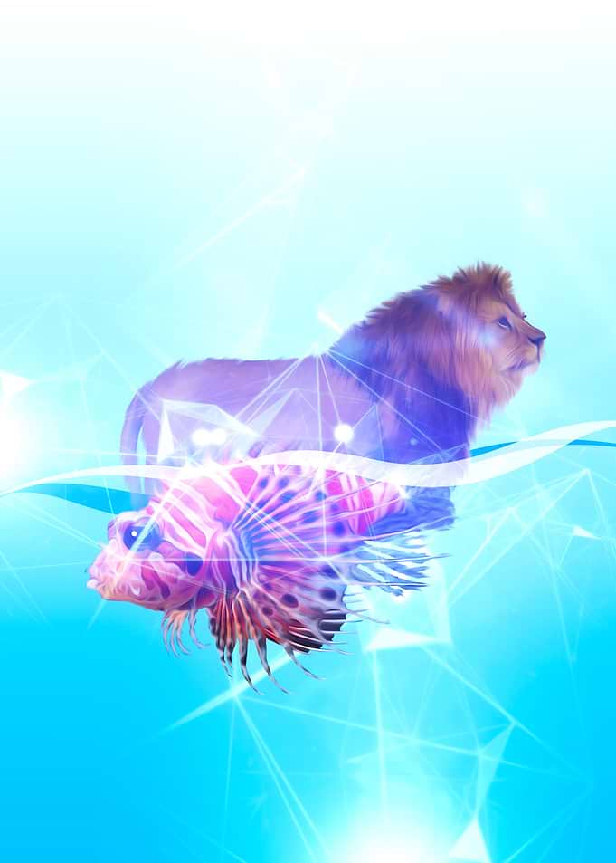 Sea Land Lions