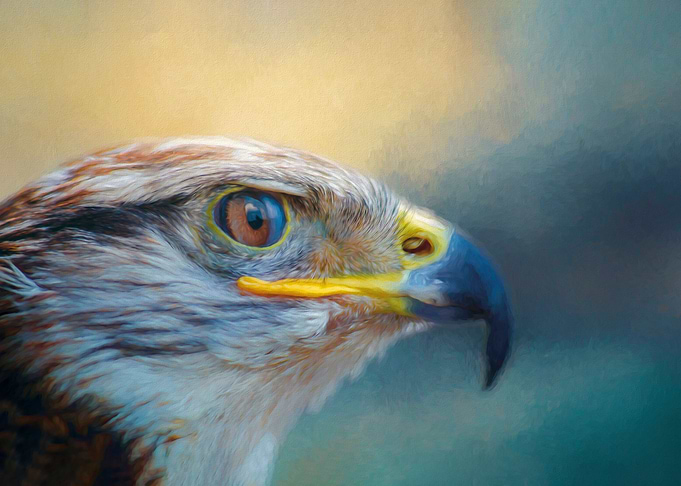 Eagle