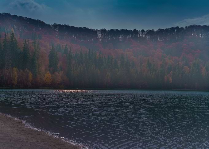 Autumn vivid colors