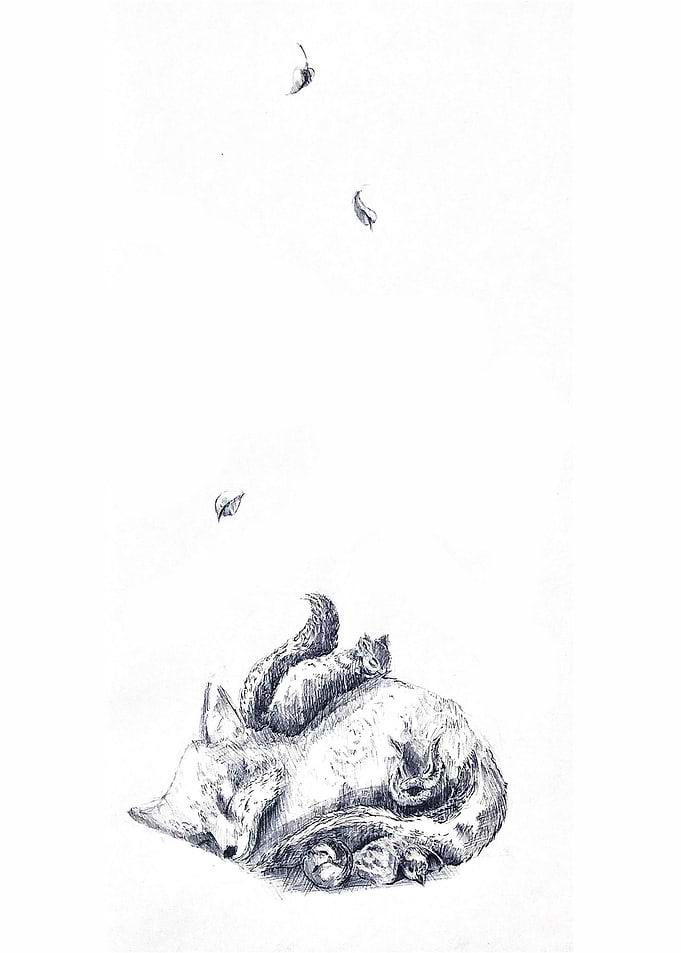 Slumbering Orphans